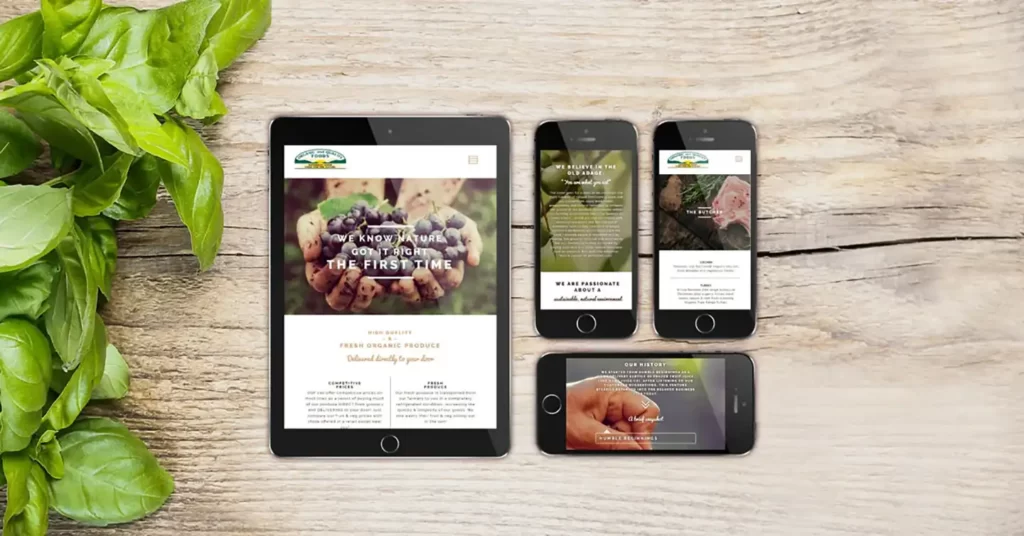 organic-foods-devices-website-design-client-ronin